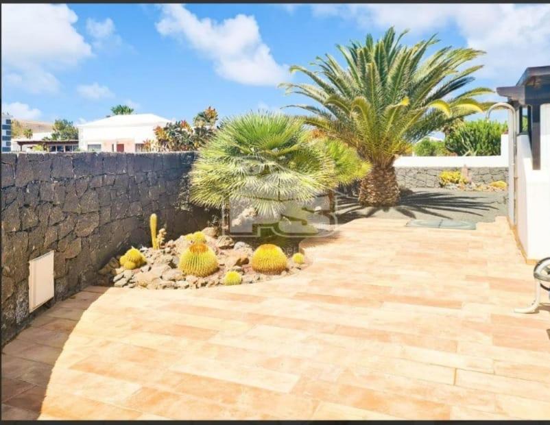 Villa Angelina ปลายาบลังกา ภายนอก รูปภาพ